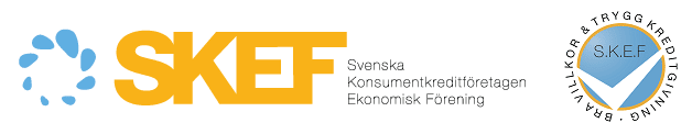 skef logo