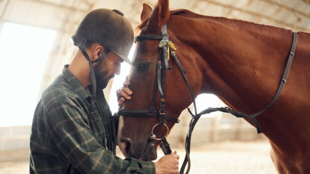 Standing and holding animal. Young man with a horse is in the hangar