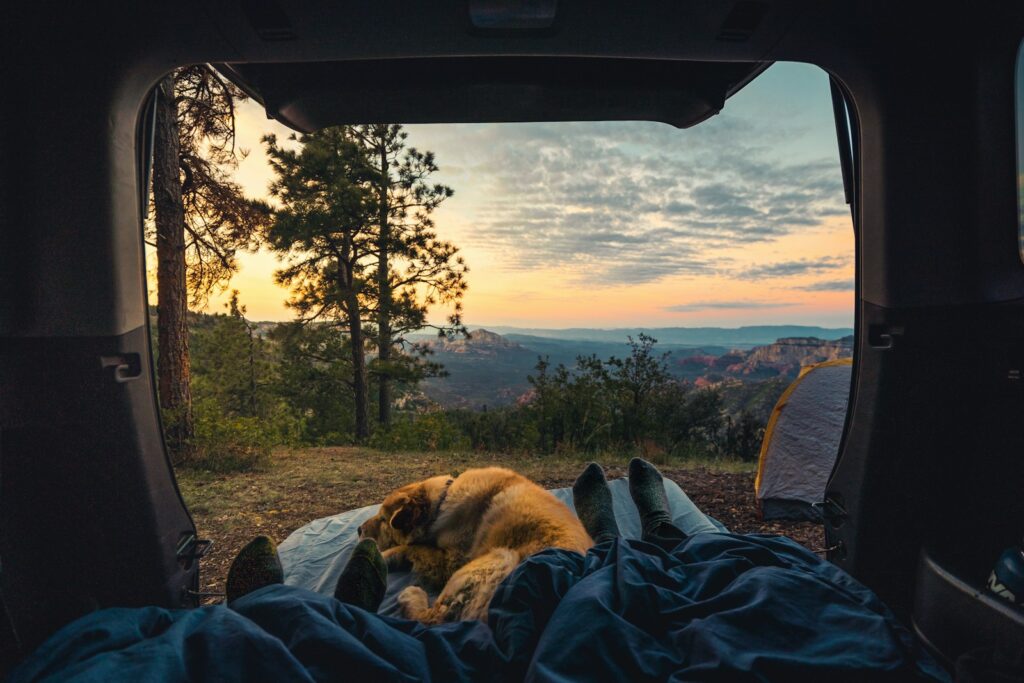 Vanlife har blivit populärt